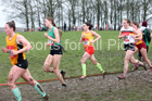 Senior girls 2019 New Balance English Schools Cross Country Champs, Temple Newsam, Leeds. Photo:  David T. Hewitson/Sports for All Pics